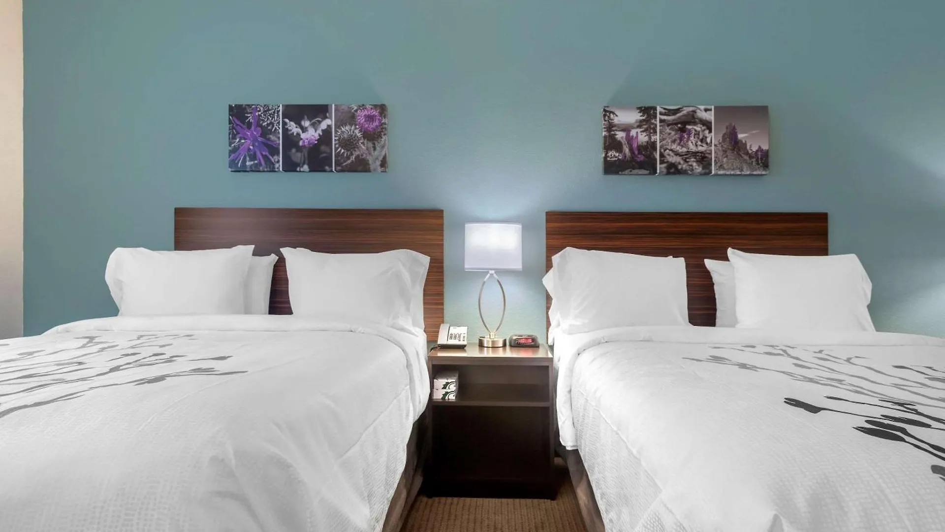 Where to Stay Near Water Taxi of Oklahoma: 9 Budget Hotels