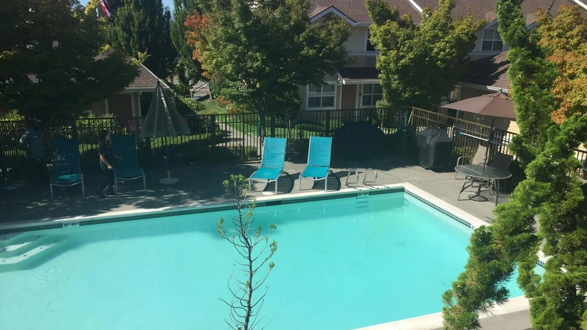 4 Top-Rated Leisure Hotels in Washington State